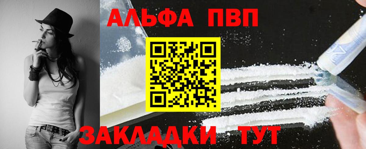 Альфа ПВП СК Шебекино