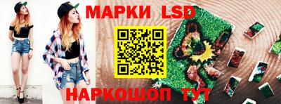 spice Заволжье