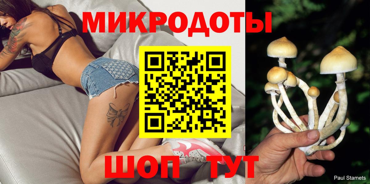 Псилоцибиновые грибы Psilocybe  как найти закладки  Шебекино 