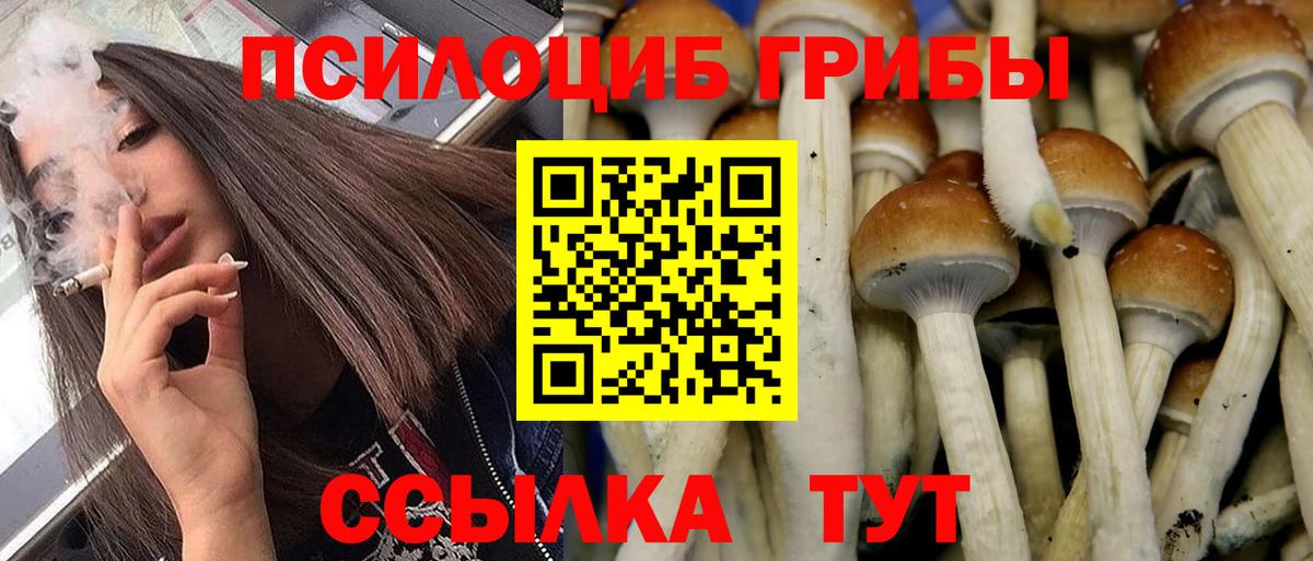 Псилоцибиновые грибы Cubensis  наркошоп  Галлюциногенные грибы ЛСД  Шебекино  Вход с VPN 